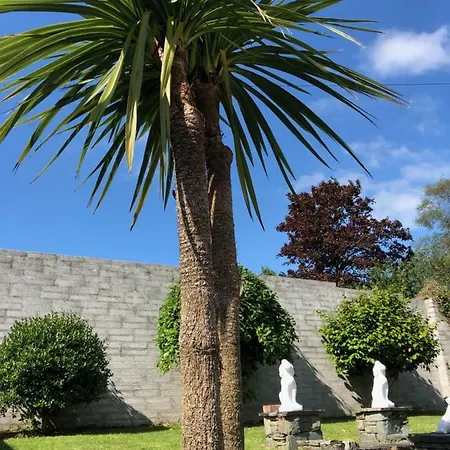 Cedar House And * Killarney